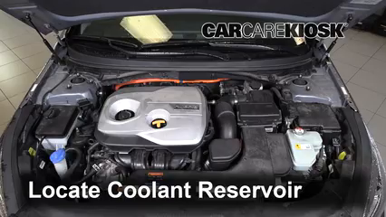 2018 Hyundai Sonata Hybrid Limited 2.0L 4 Cyl. Coolant (Antifreeze) Flush Coolant